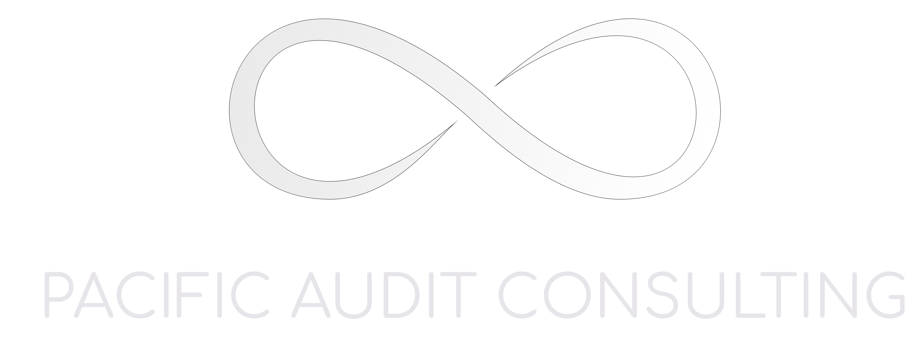 PACIFIC AUDIT CONSULTING